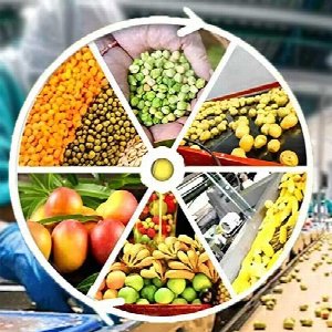 Food Processing
